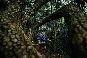 BIB: 
                            <button type="button" onclick="openModal(25671349)" class="btn btn-primary btn-sm float-right btn-popup" data-toggle="modal" data-target=".modal-high-quality">
                        <i class="fas fa-shopping-cart"></i> Add to Cart
                    </button>
                                            <button type="button" onclick="isThisMe(25671349, true)" class="btn btn-success btn-sm float-right btn-popup btn-isme hidden" data-toggle="tooltip" data-placement="bottom" title="นี่คือรูปของคุณใช่ไหม คลิกที่นี่เพื่อเอาเข้าอัลบั้ม">
                        <i class="fas fa-plus"></i> Add to album
                    </button>
                    <button type="button" onclick="isThisMe(25671349, false)" class="btn btn-warning btn-sm float-right btn-popup btn-isnotme hidden">
                        <i class="fas fa-ban"></i> Remove from album
                    </button>